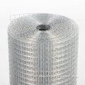 Supply Galvanized Welded Iron Wire Mesh 1/2